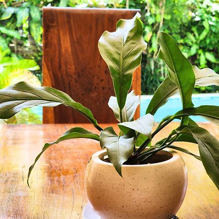 Danaya'S Villa Ubud Eksteriør billede