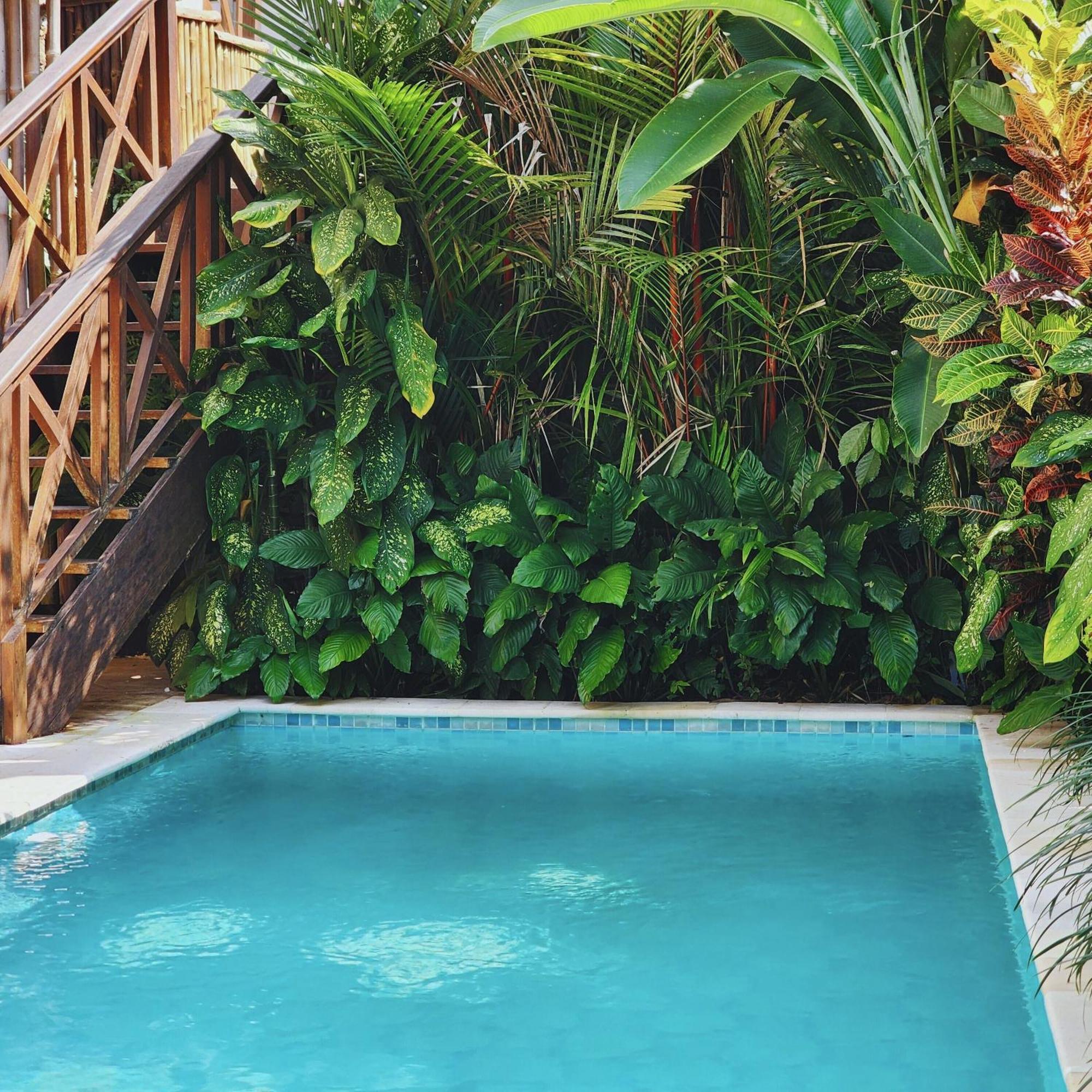 Danaya'S Villa Ubud Eksteriør billede